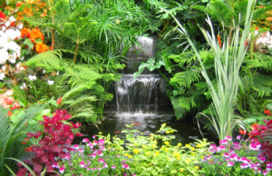 tropical_garden_design2