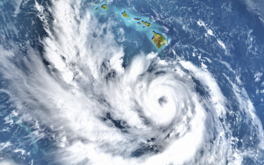 A Message From Kahu: Sep 15th, 2022