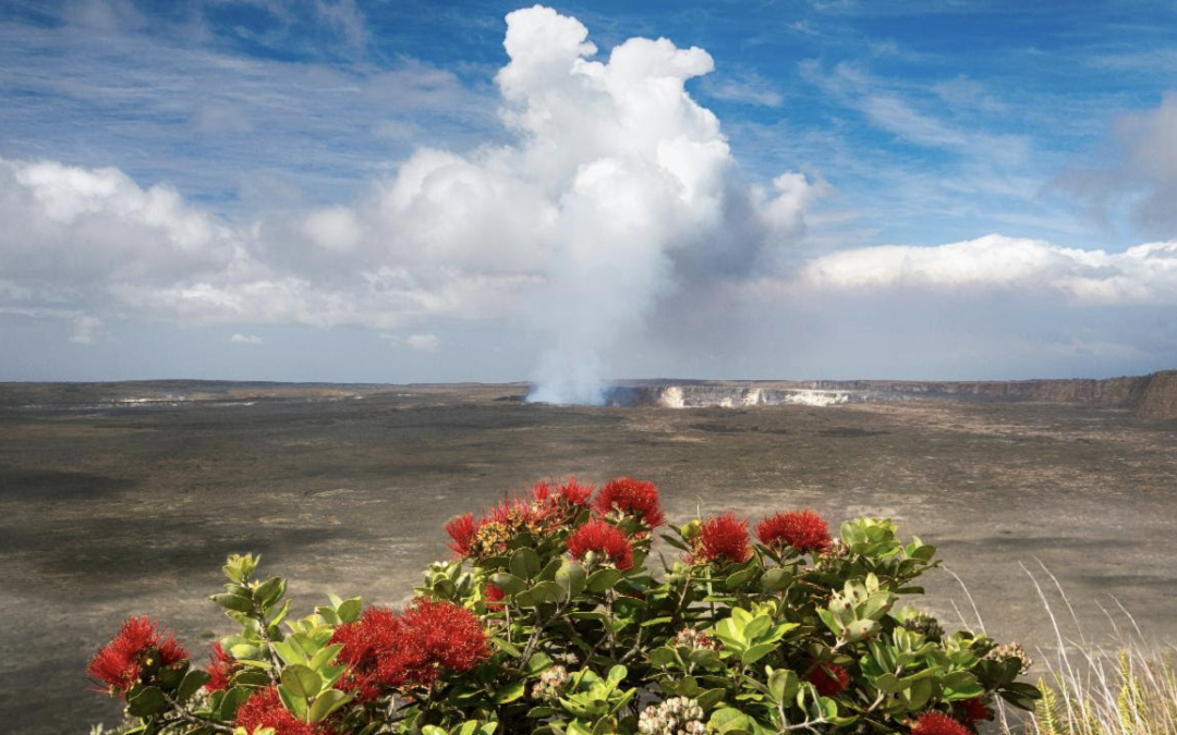 A Message From Kahu: April 10th, 2026